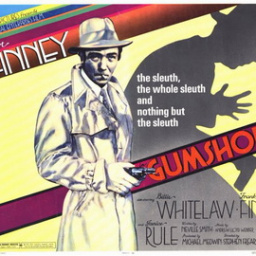 Movies Most Similar to Gumshoe (1971)